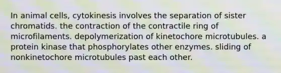 In animal cells, cytokinesis involves the separation of sister chromatids. the contraction of the contractile ring of microfilaments. depolymerization of kinetochore microtubules. a protein kinase that phosphorylates other enzymes. sliding of nonkinetochore microtubules past each other.