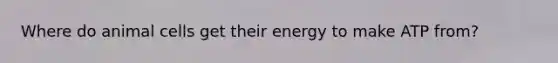 Where do animal cells get their energy to make ATP from?