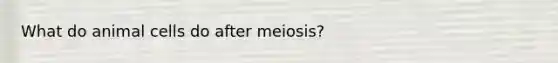 What do animal cells do after meiosis?