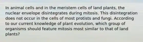 In animal cells and in the meristem cells of land plants, the nuclear envelope disintegrates during mitosis. This disintegration does not occur in the cells of most protists and fungi. According to our current knowledge of plant evolution, which group of organisms should feature mitosis most similar to that of land plants?