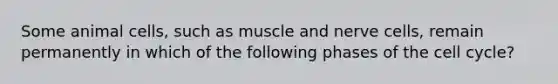 Some animal cells, such as muscle and nerve cells, remain permanently in which of the following phases of the cell cycle?