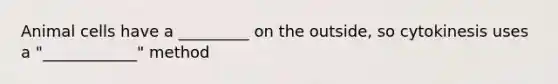 Animal cells have a _________ on the outside, so cytokinesis uses a "____________" method