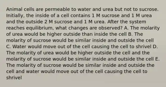 Animal cells are permeable to water and urea but not to sucrose. Initially, the inside of a cell contains 1 M sucrose and 1 M urea and the outside 2 M sucrose and 1 M urea. After the system reaches equilibrium, what changes are observed? A. The molarity of urea would be higher outside than inside the cell B. The molarity of sucrose would be similar inside and outside the cell C. Water would move out of the cell causing the cell to shrivel D. The molarity of urea would be higher outside the cell and the molarity of sucrose would be similar inside and outside the cell E. The molarity of sucrose would be similar inside and outside the cell and water would move out of the cell causing the cell to shrivel