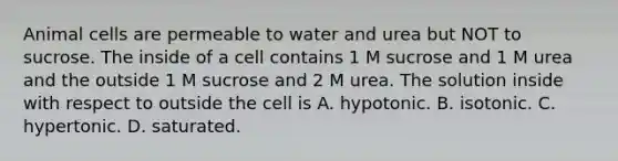 Animal cells are permeable to water and urea but NOT to sucrose. The inside of a cell contains 1 M sucrose and 1 M urea and the outside 1 M sucrose and 2 M urea. The solution inside with respect to outside the cell is A. hypotonic. B. isotonic. C. hypertonic. D. saturated.