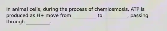 In animal cells, during the process of chemiosmosis, ATP is produced as H+ move from __________ to __________, passing through __________.