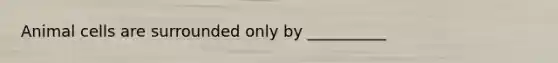 Animal cells are surrounded only by __________