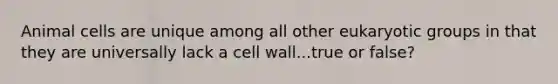 Animal cells are unique among all other eukaryotic groups in that they are universally lack a cell wall...true or false?