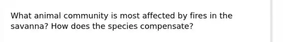 What animal community is most affected by fires in the savanna? How does the species compensate?