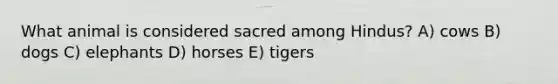 What animal is considered sacred among Hindus? A) cows B) dogs C) elephants D) horses E) tigers