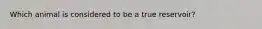 Which animal is considered to be a true reservoir?