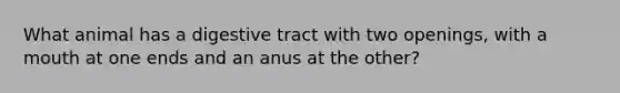 What animal has a digestive tract with two openings, with a mouth at one ends and an anus at the other?