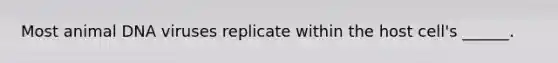 Most animal DNA viruses replicate within the host cell's ______.