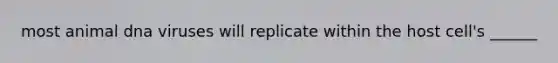 most animal dna viruses will replicate within the host cell's ______