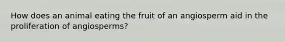 How does an animal eating the fruit of an angiosperm aid in the proliferation of angiosperms?