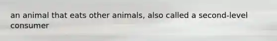 an animal that eats other animals, also called a second-level consumer