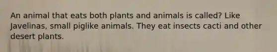 An animal that eats both plants and animals is called? Like Javelinas, small piglike animals. They eat insects cacti and other desert plants.