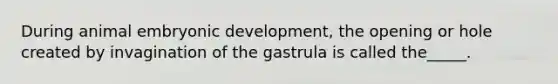 During animal embryonic development, the opening or hole created by invagination of the gastrula is called the_____.