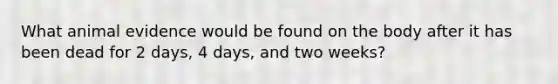 What animal evidence would be found on the body after it has been dead for 2 days, 4 days, and two weeks?