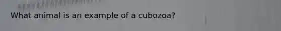 What animal is an example of a cubozoa?