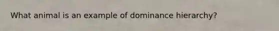 What animal is an example of dominance hierarchy?