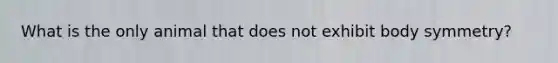 What is the only animal that does not exhibit body symmetry?