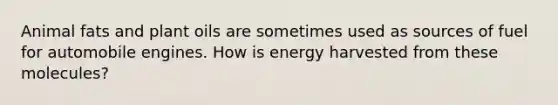 Animal fats and plant oils are sometimes used as sources of fuel for automobile engines. How is energy harvested from these molecules?