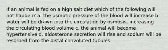 If an animal is fed on a high salt diet which of the following will not happen? a. the osmotic pressure of the blood will increase b. water will be drawn into the circulation by osmosis, increasing the circulating blood volume c. the animal will become hypertensive d. aldosterone secretion will rise and sodium will be resorbed from the distal convoluted tubules