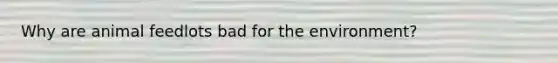 Why are animal feedlots bad for the environment?