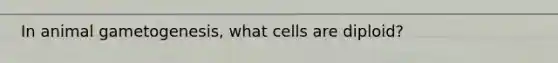 In animal gametogenesis, what cells are diploid?