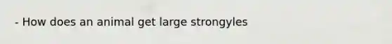 - How does an animal get large strongyles