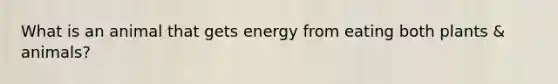 What is an animal that gets energy from eating both plants & animals?