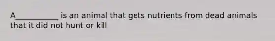 A___________ is an animal that gets nutrients from dead animals that it did not hunt or kill