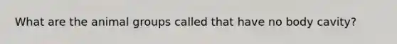 What are the animal groups called that have no body cavity?