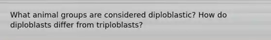 What animal groups are considered diploblastic? How do diploblasts differ from triploblasts?