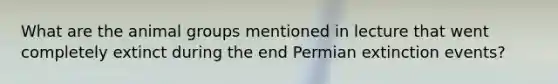 What are the animal groups mentioned in lecture that went completely extinct during the end Permian extinction events?