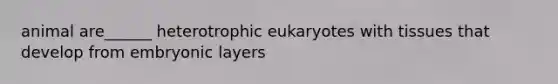 animal are______ heterotrophic eukaryotes with tissues that develop from embryonic layers