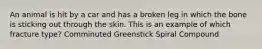 An animal is hit by a car and has a broken leg in which the bone is sticking out through the skin. This is an example of which fracture type? Comminuted Greenstick Spiral Compound