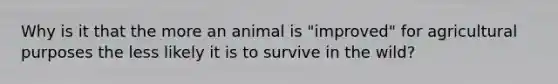 Why is it that the more an animal is "improved" for agricultural purposes the less likely it is to survive in the wild?