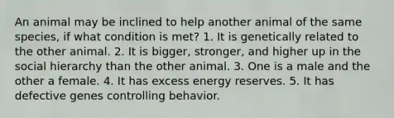 An animal may be inclined to help another animal of the same species, if what condition is met? 1. It is genetically related to the other animal. 2. It is bigger, stronger, and higher up in the social hierarchy than the other animal. 3. One is a male and the other a female. 4. It has excess energy reserves. 5. It has defective genes controlling behavior.
