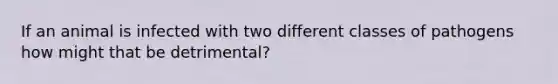 If an animal is infected with two different classes of pathogens how might that be detrimental?