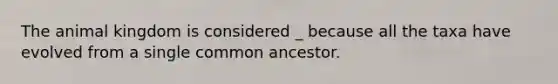 The animal kingdom is considered _ because all the taxa have evolved from a single common ancestor.