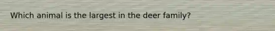 Which animal is the largest in the deer family?