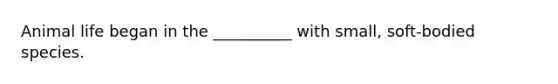 Animal life began in the __________ with small, soft-bodied species.