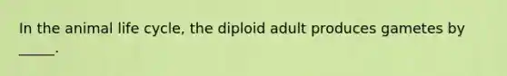 In the animal life cycle, the diploid adult produces gametes by _____.