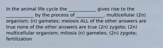 In the animal life cycle the ____________ gives rise to the ____________ by the process of ____________. multicellular (2n) organism; (n) gametes; meiosis ALL of the other answers are true none of the other answers are true (2n) zygote; (2n) multicellular organism; mitosis (n) gametes; (2n) zygote; fertilization