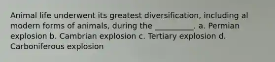 Animal life underwent its greatest diversification, including al modern forms of animals, during the __________. a. Permian explosion b. Cambrian explosion c. Tertiary explosion d. Carboniferous explosion