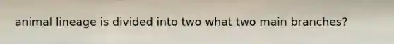 animal lineage is divided into two what two main branches?