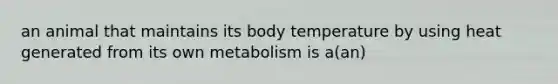 an animal that maintains its body temperature by using heat generated from its own metabolism is a(an)