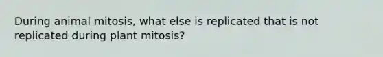 During animal mitosis, what else is replicated that is not replicated during plant mitosis?