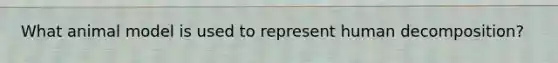 What animal model is used to represent human decomposition?
